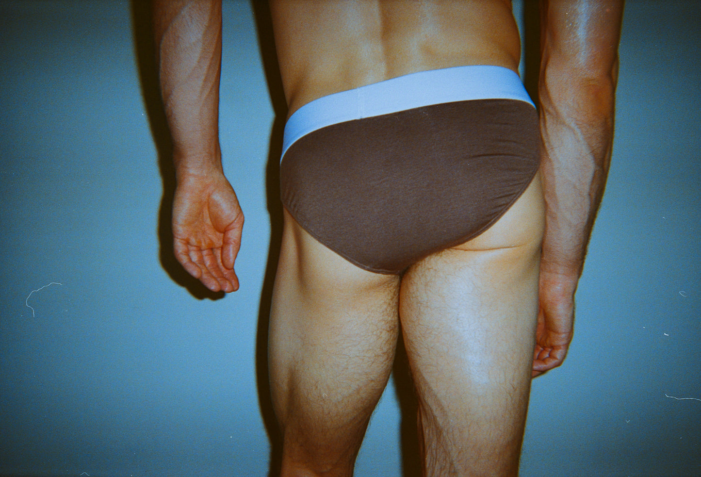F/W23 Chocolate Brief