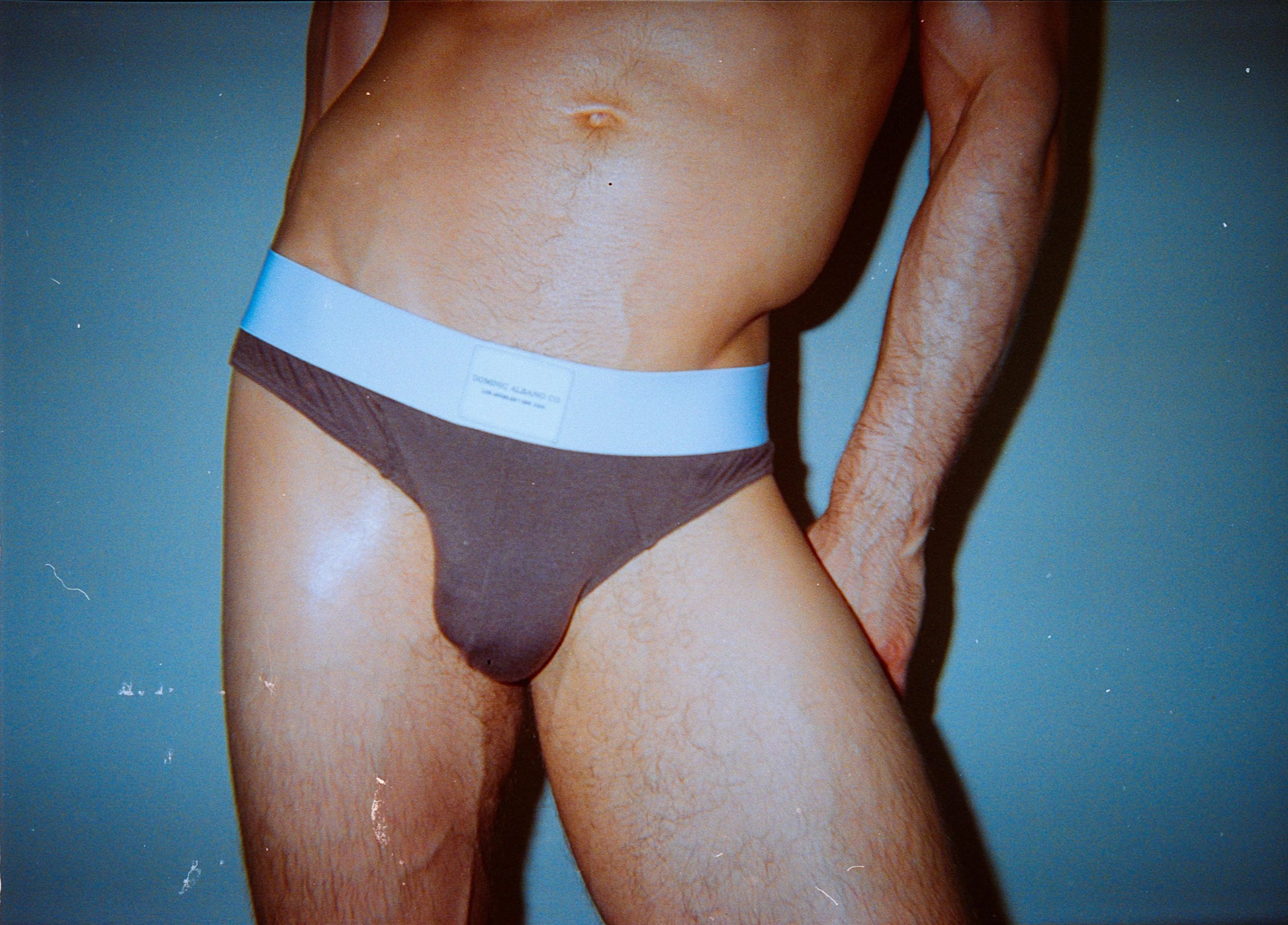 Dominic Albano Collection chocolate brown men's brief underwear